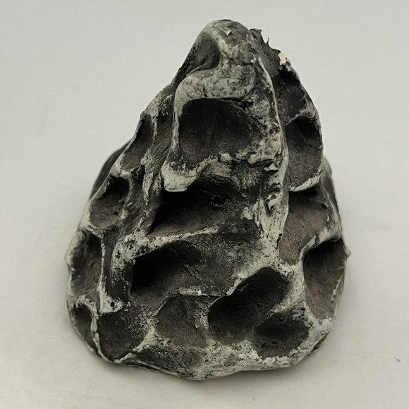 Shapes Of Clay By Stan Langtwait Mount St Helen Ash Native American Chief Joseph - Picture 14 of 16